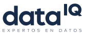 Logo-Data
